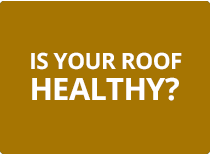 Healthy_Roof