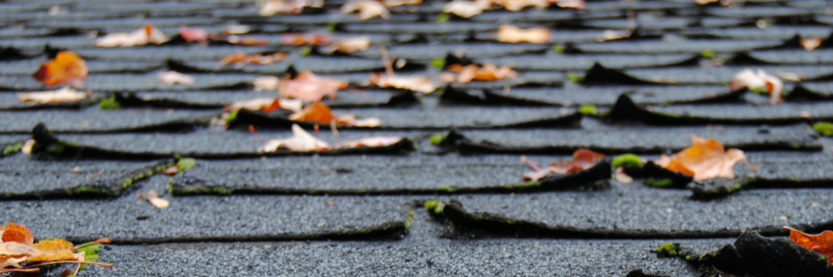 Signs Your Asphalt Shingle Roof Needs Replacing